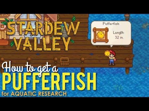 How to get a Pufferfish in Stardew Valley, Aquatic Research