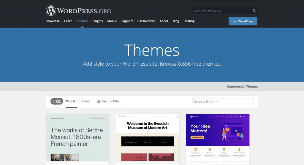 WordPress themes